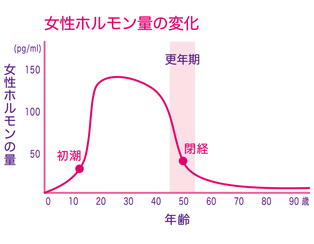 女性ホルモンについて